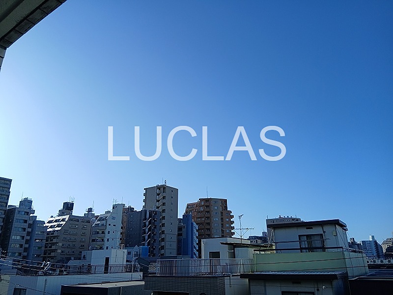 ダイナシティ文京根津 411号室 その他