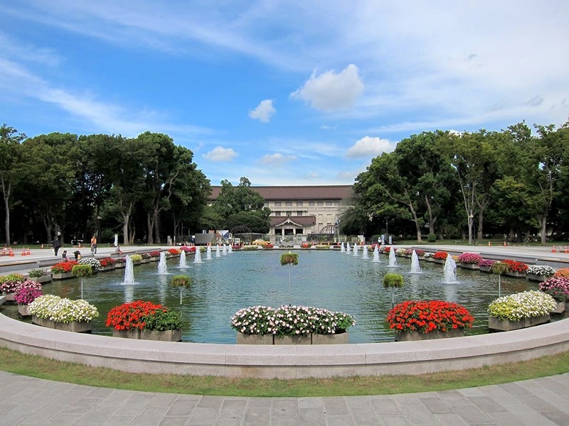 ダイナシティ文京根津 411号室 周辺画像9