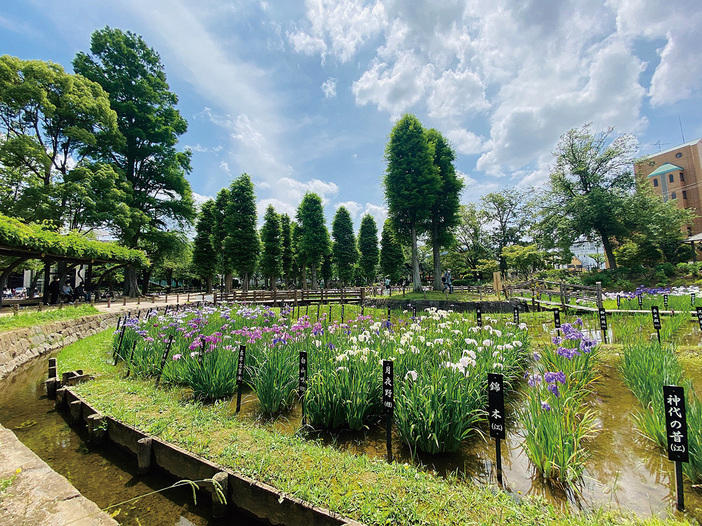 クレストコート北綾瀬 周辺画像10