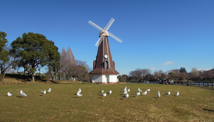 ◆◇ハイラーク新赤羽◇◆ 109号室 周辺画像10