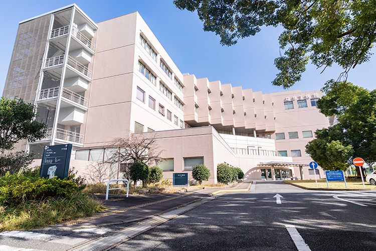 ◆◇ミハマシティ検見川浜Ⅱ街区◇◆ 周辺画像10