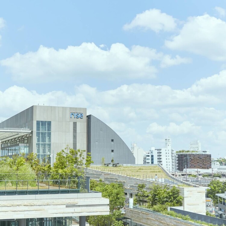 ライオンズマンション上野毛第2 405号室 周辺画像6