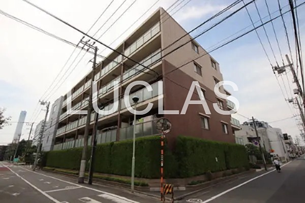 センチュリー武蔵新田 503号室 外観