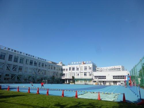コスモ向島 302号室 周辺画像8