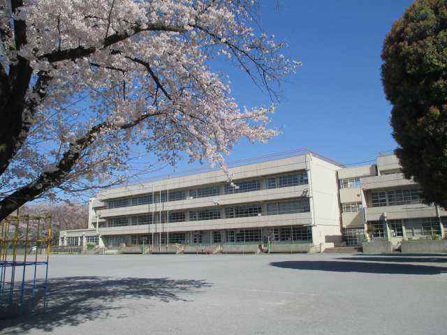 キャニオンビュー光が丘 404号室 周辺画像6