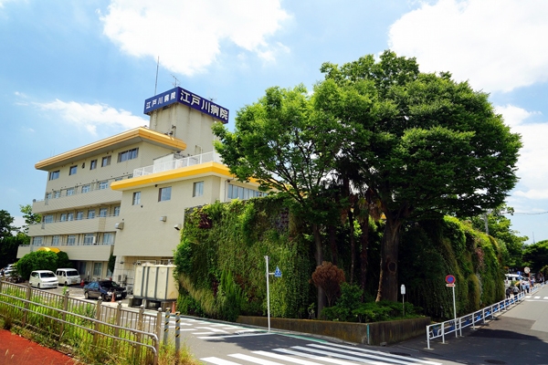 アーバンキャッスル江戸川駅前 204号室 周辺画像9