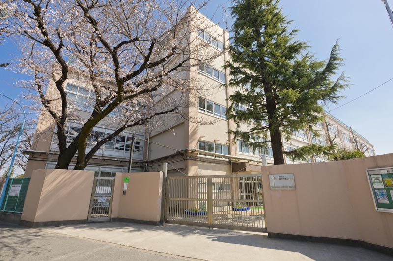 マイキャッスル高井戸 905号室 周辺画像7