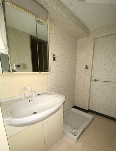 新松戸中央パークハウス 内観写真（洗面台・洗面所）