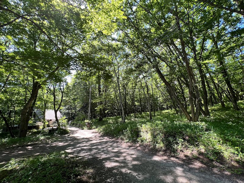 北杜市大泉町西井出　別荘用地 現地写真（前面道路含む現地写真）