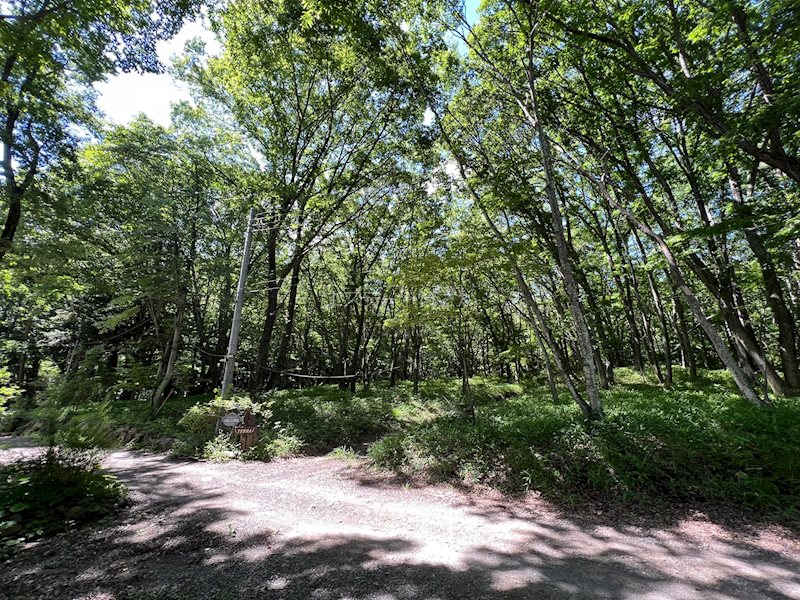 北杜市大泉町西井出　別荘用地  現地写真（前面道路含む現地写真）