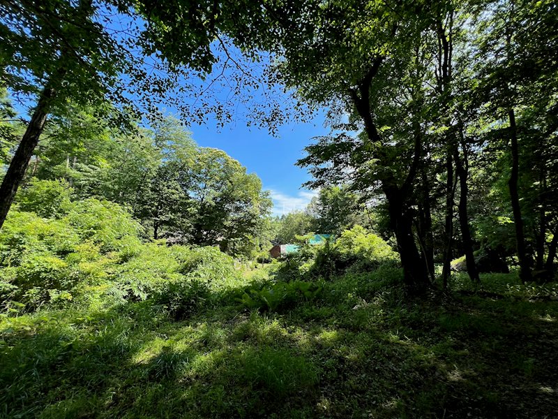 北杜市大泉町西井出　別荘用地  眺望写真