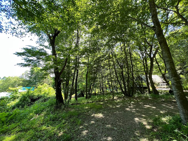 北杜市大泉町西井出　別荘用地  眺望写真