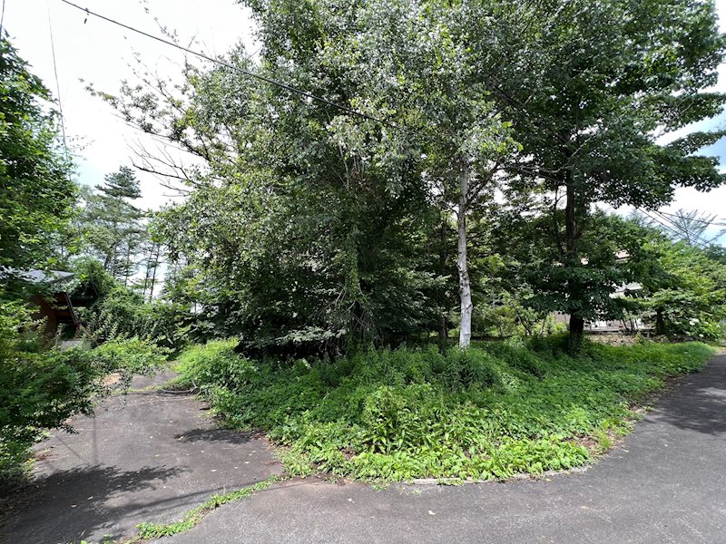 北杜市高根町長澤（アルプスハイランド）　別荘用地 現地写真（前面道路含む現地写真）