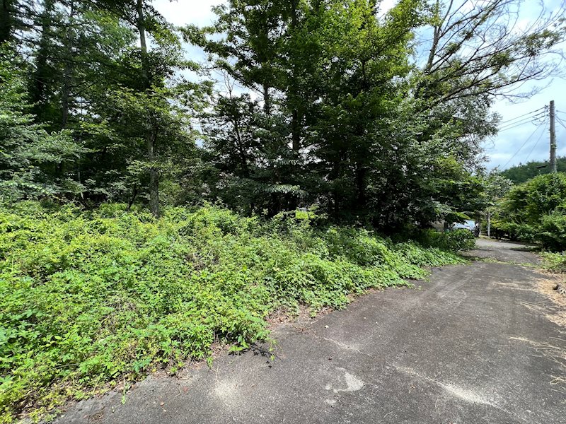 北杜市高根町長澤（アルプスハイランド）　別荘用地 現地写真（前面道路含む現地写真）