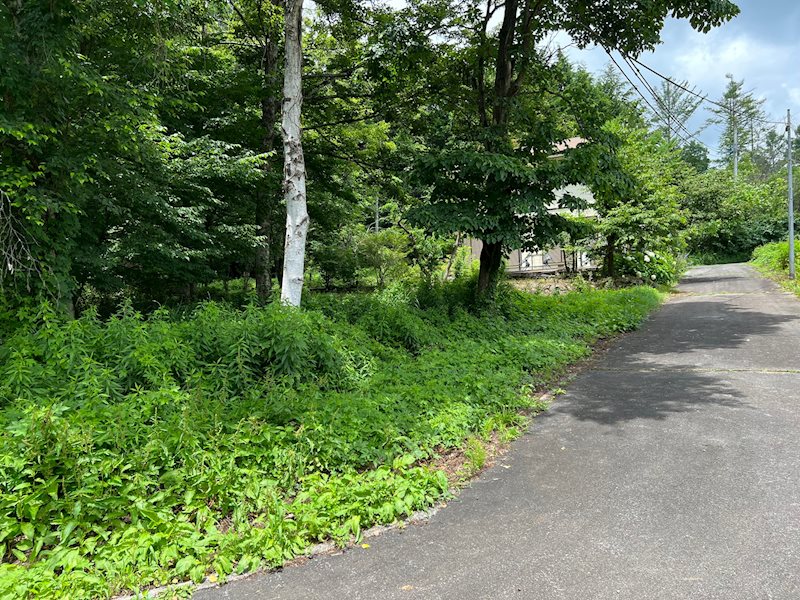 北杜市高根町長澤（アルプスハイランド）　別荘用地 現地写真（前面道路含む現地写真）