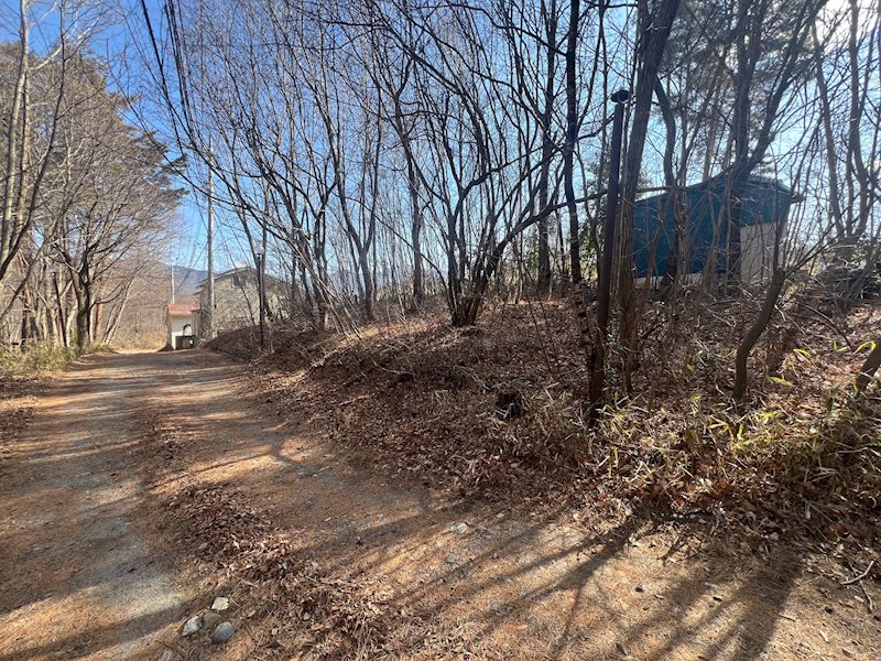 北杜市高根町下黒沢 売地 現地写真（前面道路含む現地写真）
