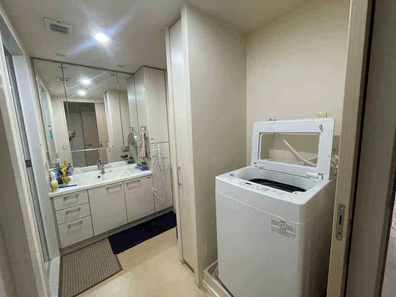 甲府市国母一丁目 中古マンション 内観写真（洗面台・洗面所）
