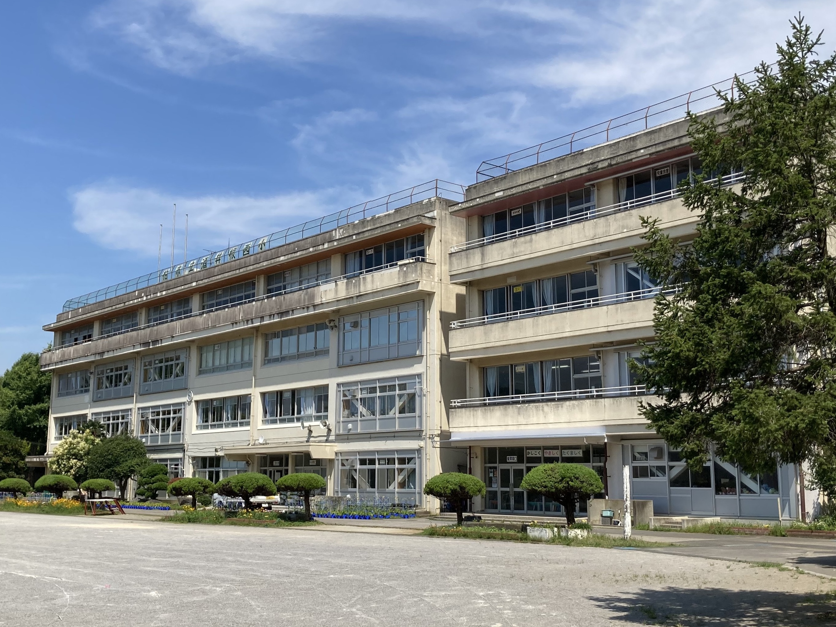 柏市酒井根７丁目中古戸建て 小学校