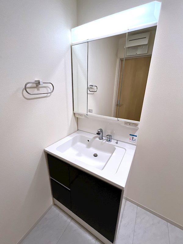 上尾市平塚中古戸建て 内観写真（洗面台・洗面所）