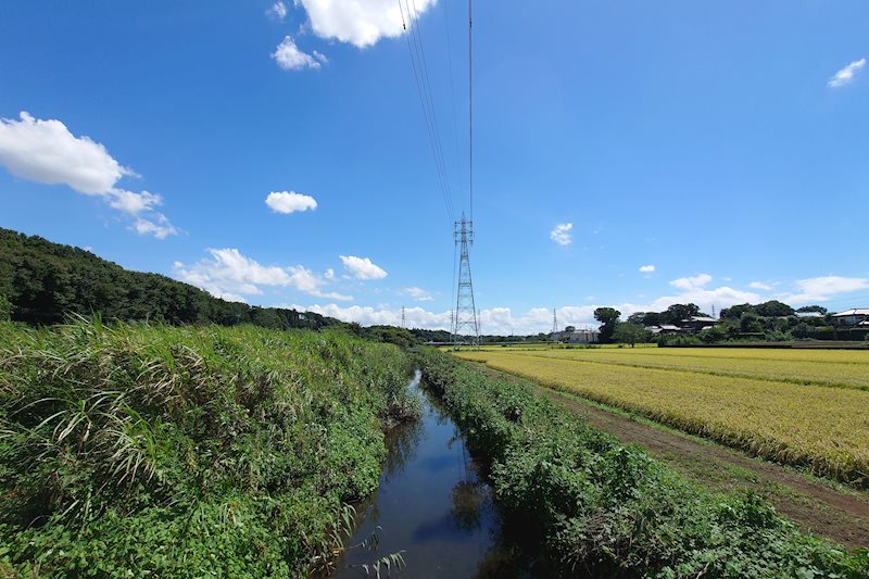 柏市高柳　土地 その他