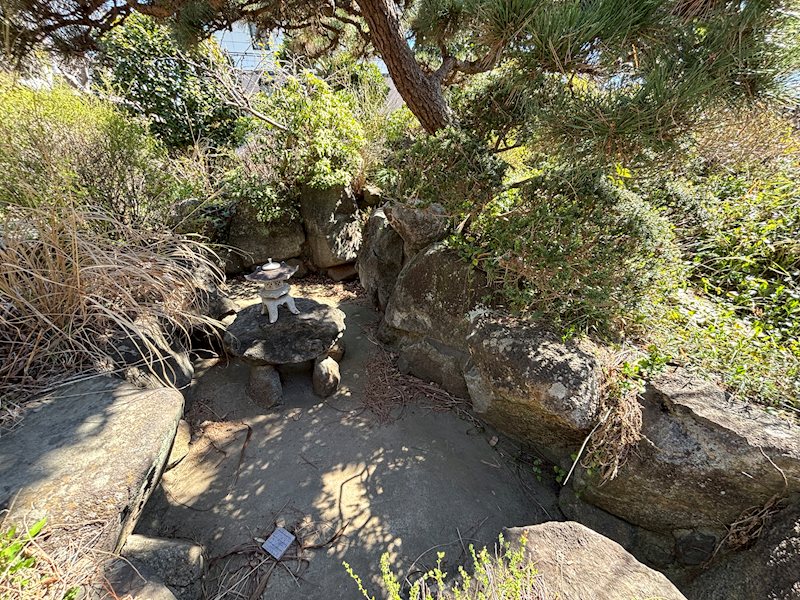 龍ケ崎市久保台２丁目　戸建 現地写真（庭）
