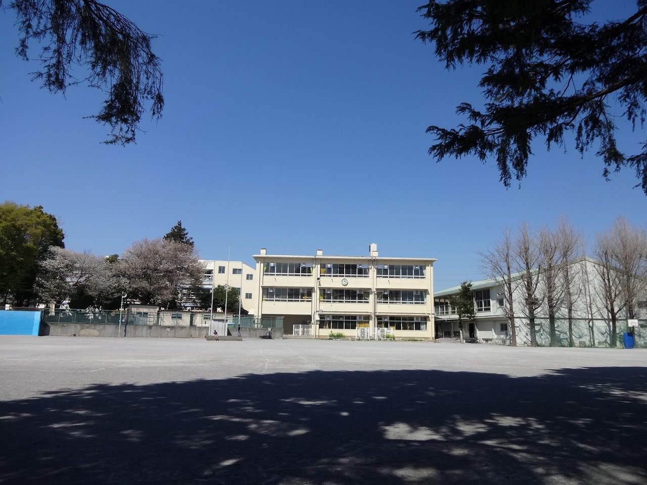 流山市駒木　土地 小学校