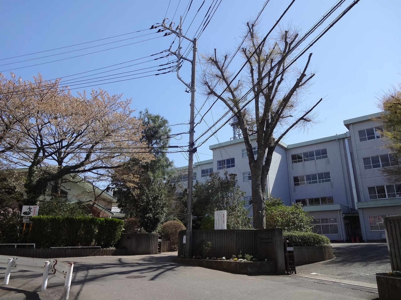 流山市駒木　土地 中学校