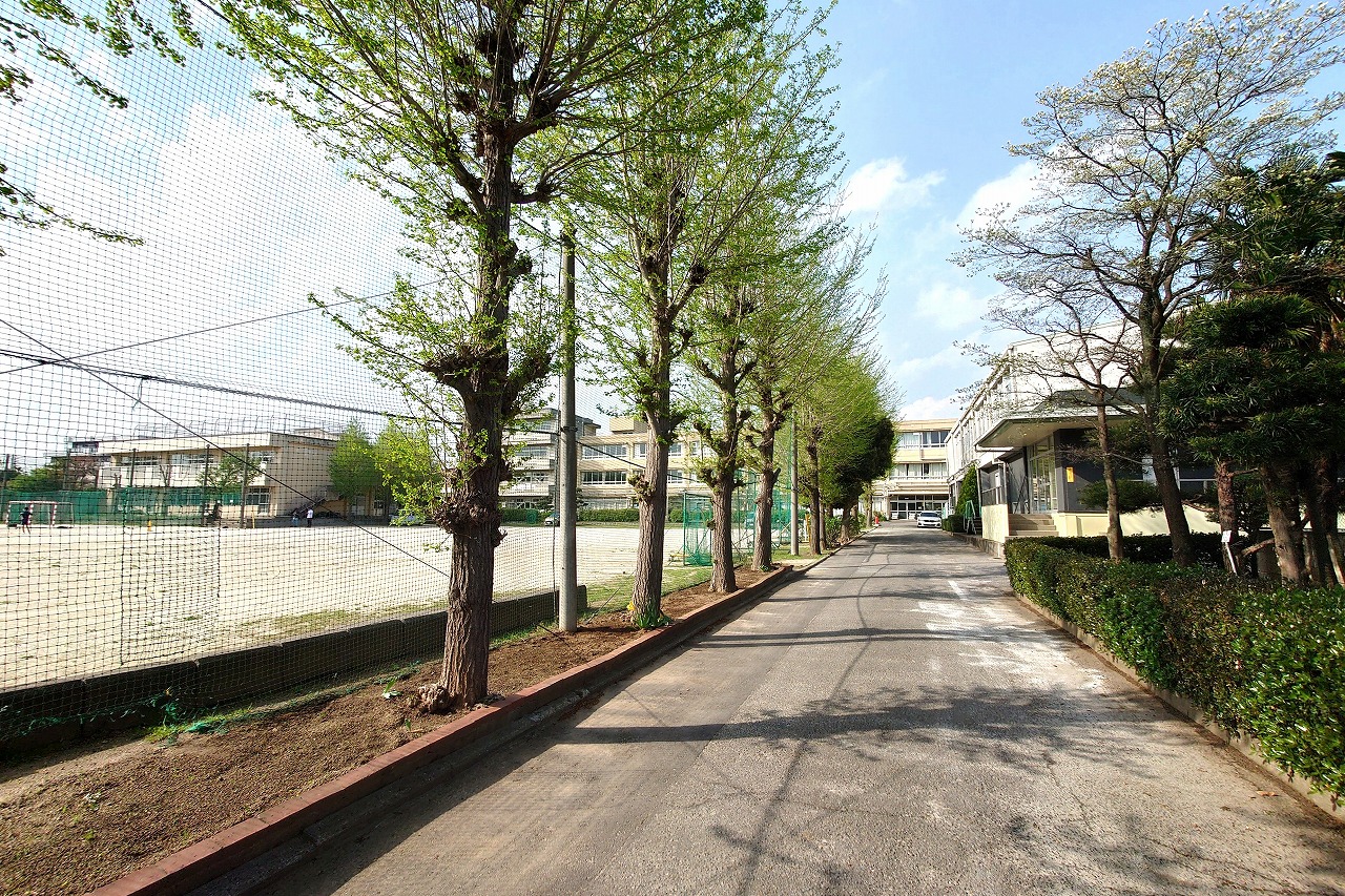 柏市南増尾3丁目　土地 中学校