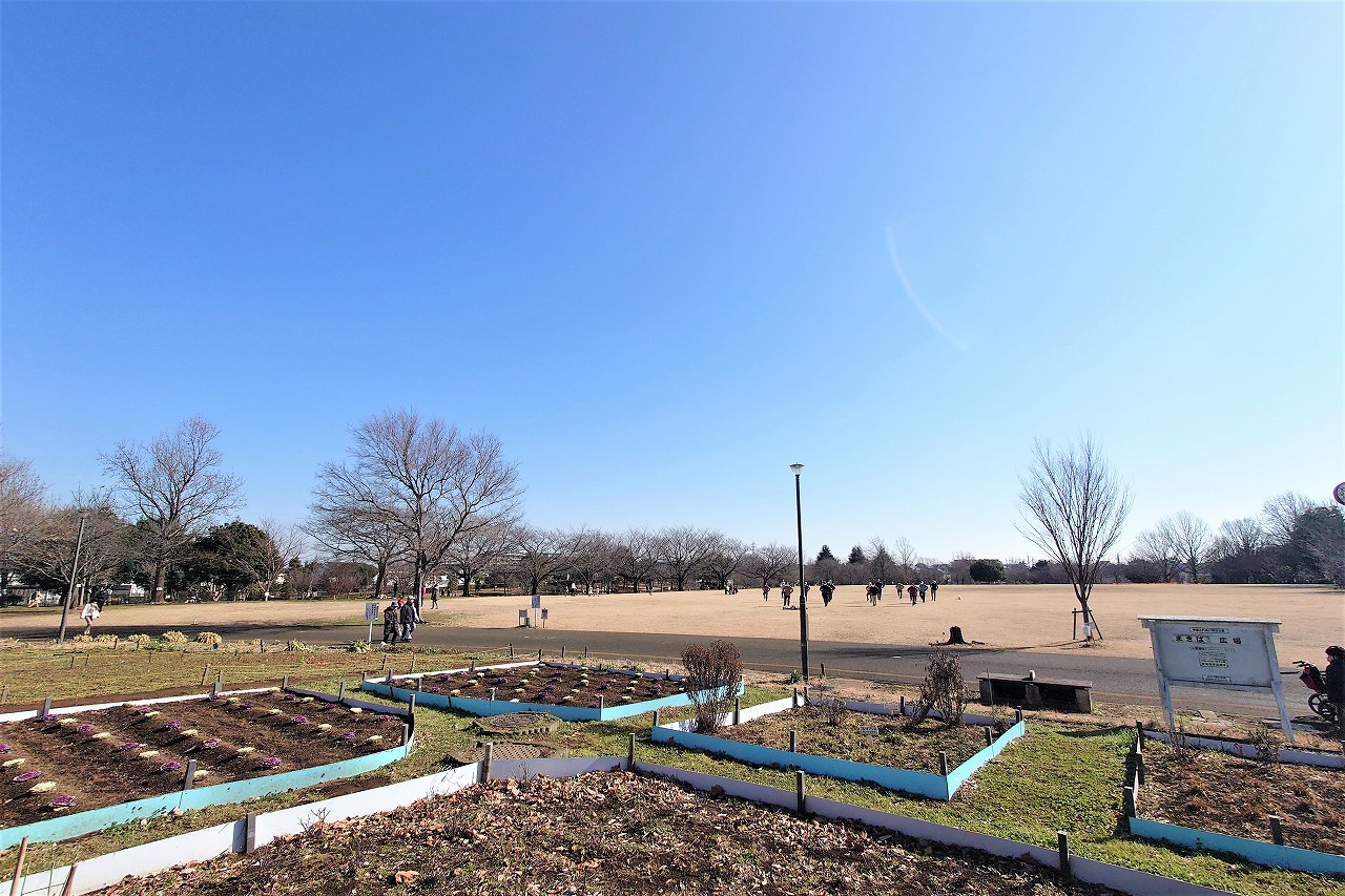 柏市東中新宿３丁目　土地 公園