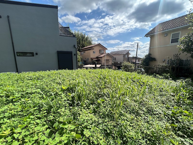 我孫子市高野山 現地写真