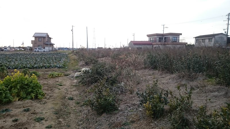安城市藤井町南山　売土地 その他