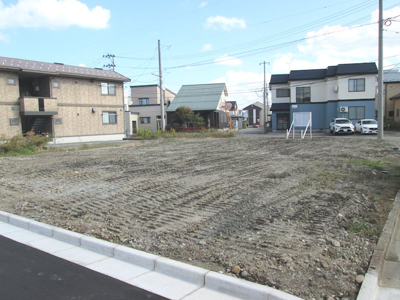 山田秋坪 花図 箱なし MA910