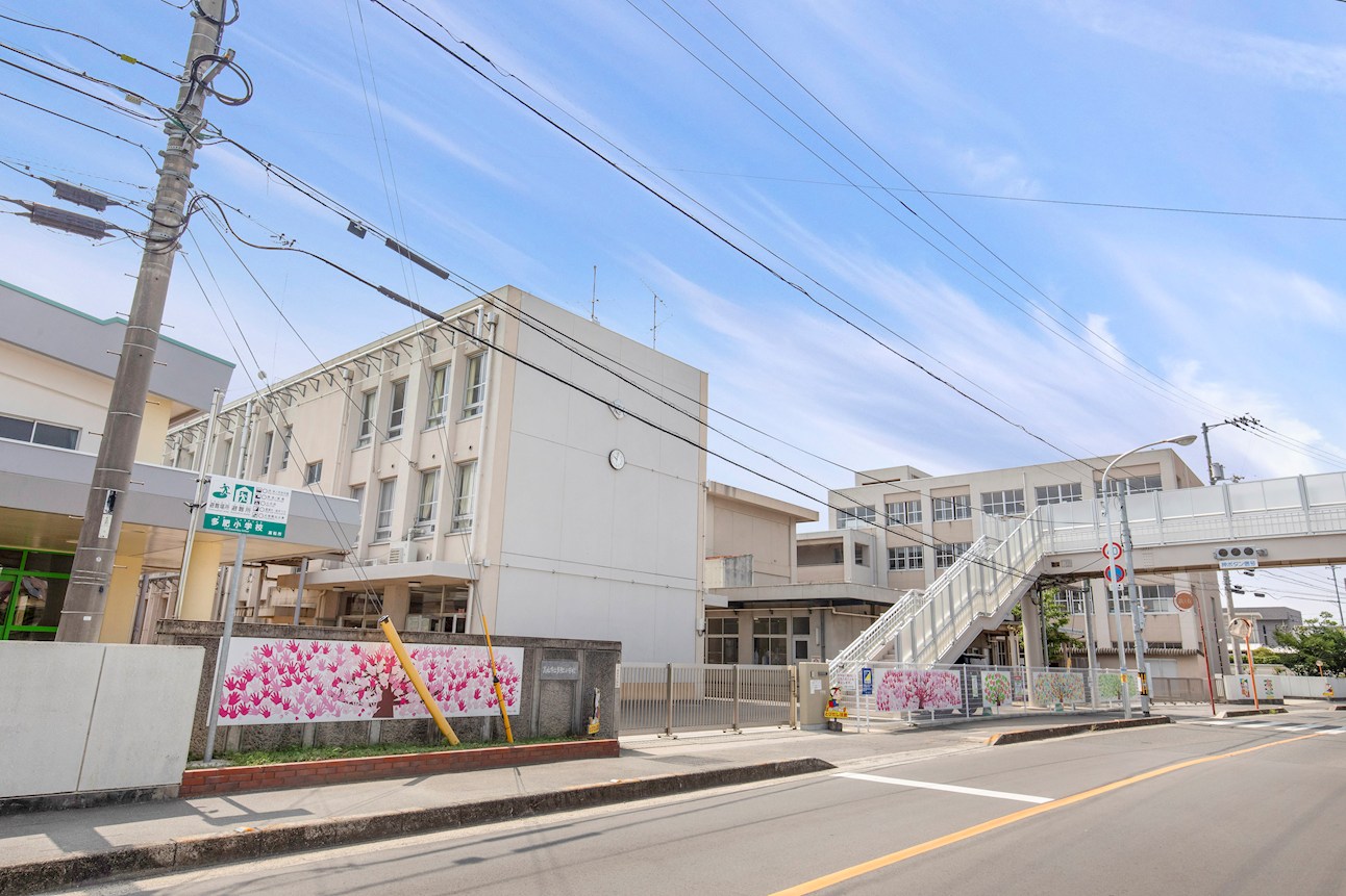 FelidiaGarden高松市上林町 全8区画 8号棟(No.1041) 小学校