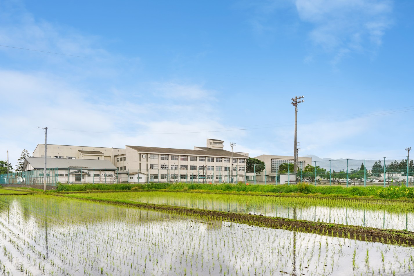 FelidiaGarden盛岡市永井 全3区画 1号棟(No.1024) 中学校