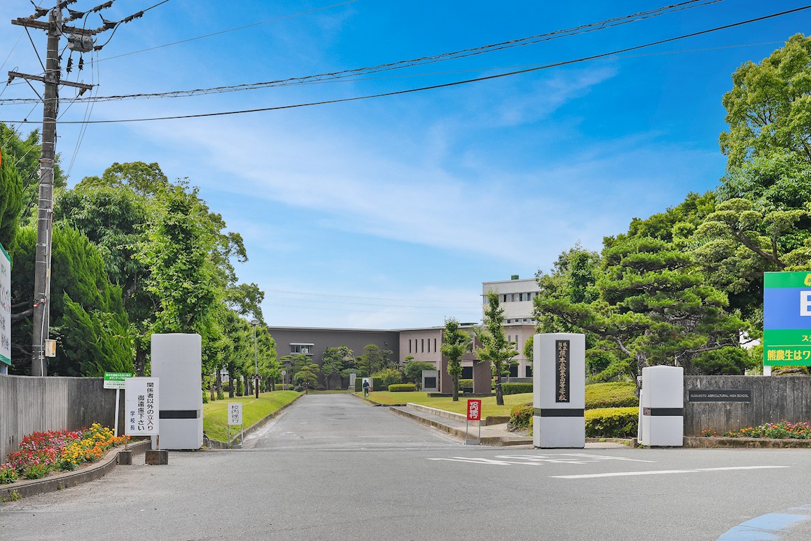 JIDAI南区八幡10丁目 全4区画 3号棟(No.1055) 高校・高専