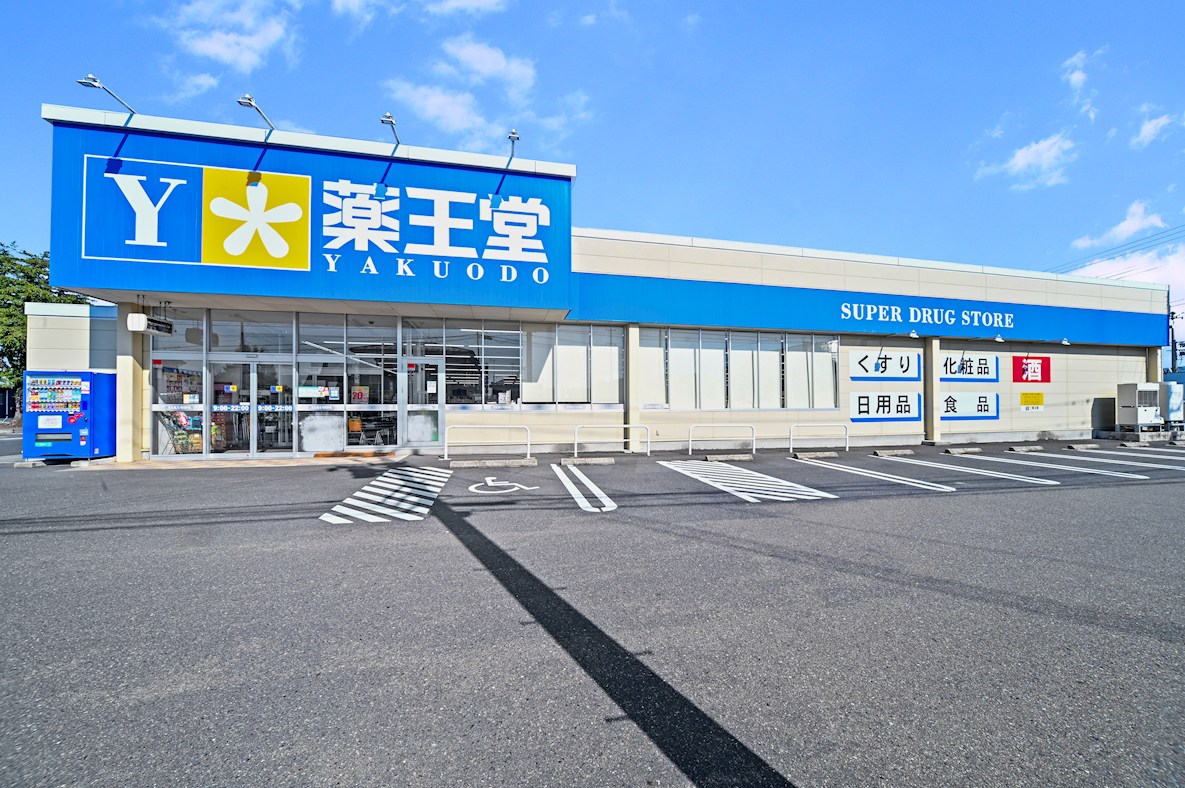 FelidiaGarden奥州市水沢真城字町屋敷 全3区画 3号棟(No.1024)  ドラッグストア