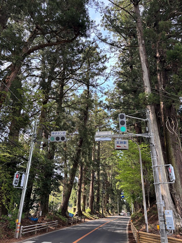 【スムストック】栃木県日光市板橋(No.1028) 周辺の街並み