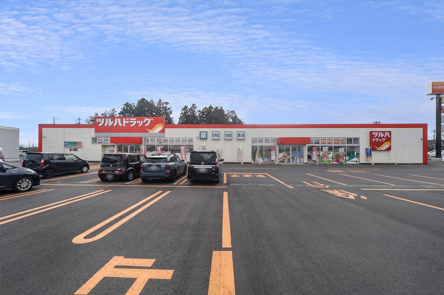 Feelwell金ケ崎町西根 全5区画 5号棟(No.1024)  ドラッグストア