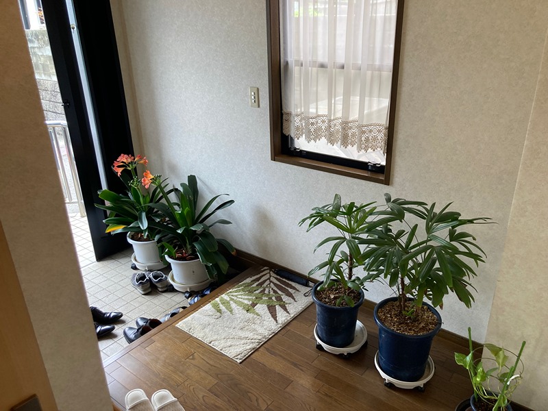 【スムストック】愛媛県東温市松瀬川甲(No.1041) 現地写真（玄関）
