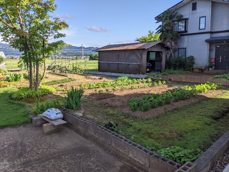 長岡市川崎町売地 現地写真