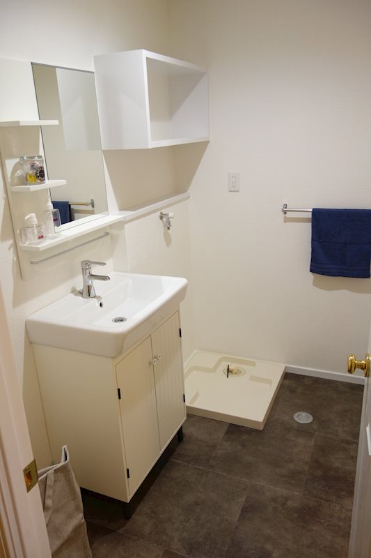 ロフティ信濃町 内観写真（洗面台・洗面所）