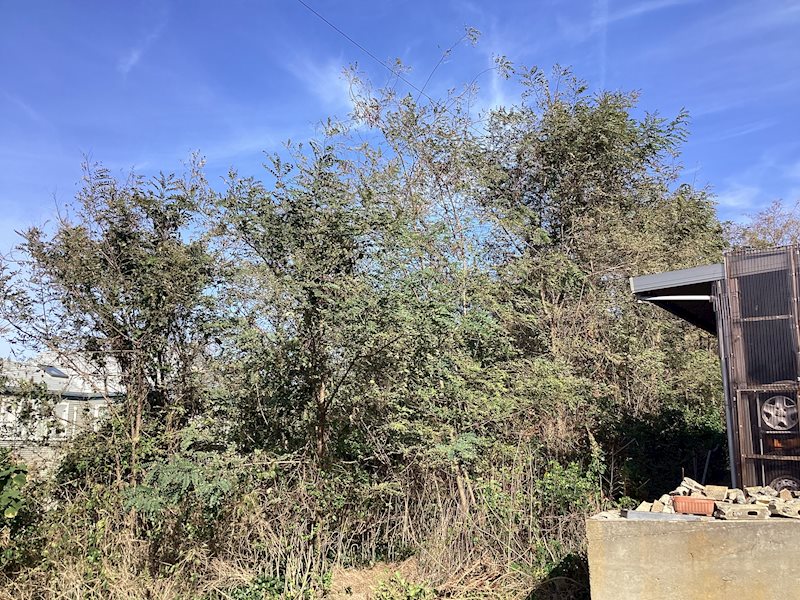 西区五十嵐東３丁目売地 現地写真