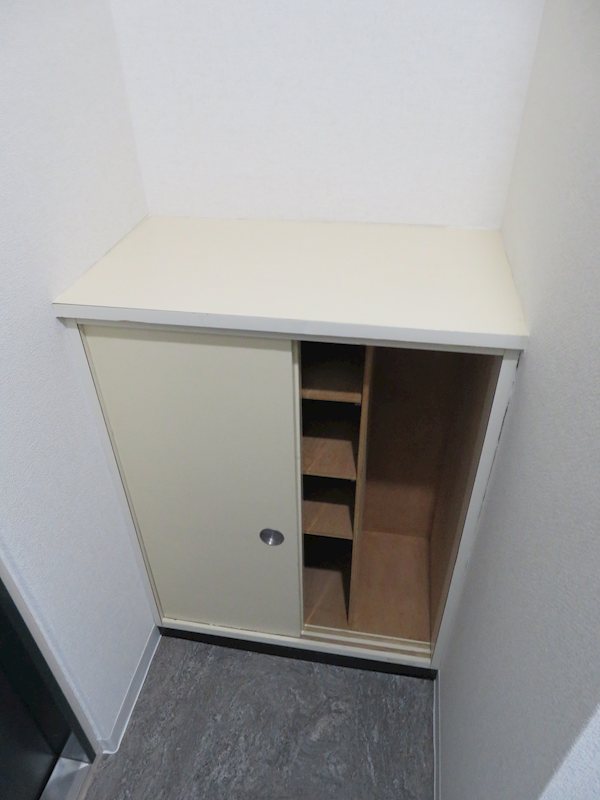トーカンマンション医学町 現地写真（玄関）