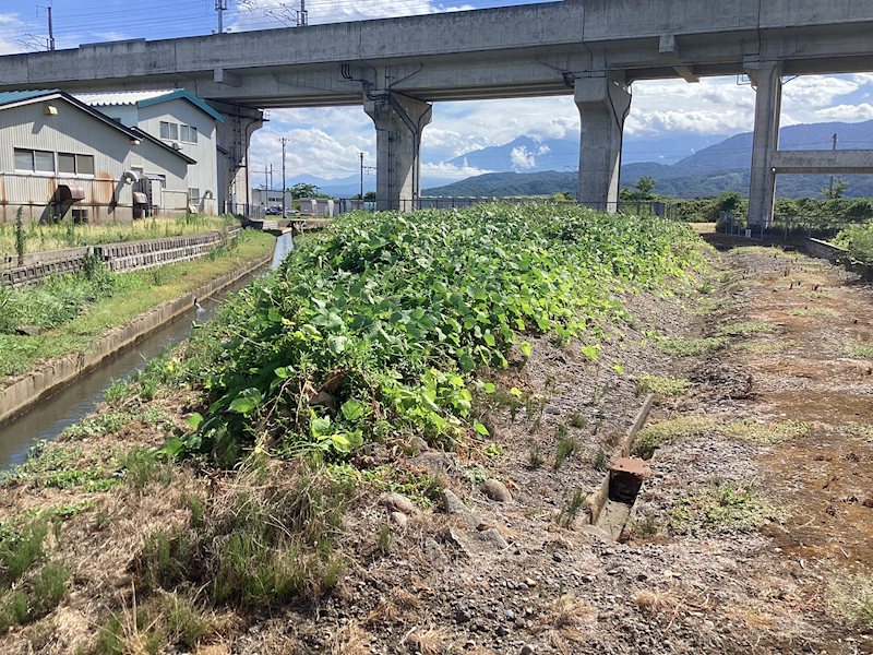 上越市大和１丁目売地 現地写真