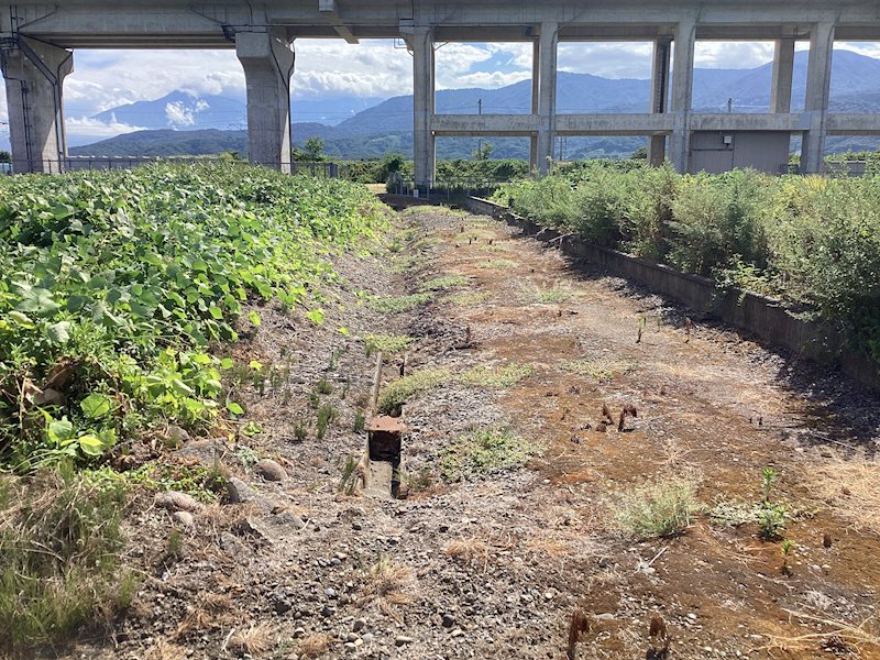 上越市大和１丁目売地 現地写真