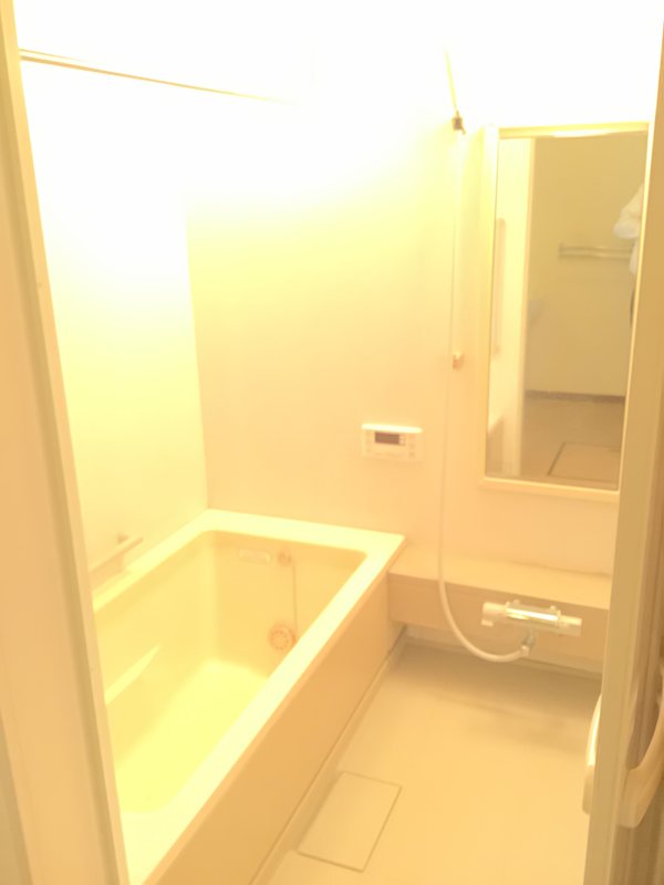 西区小針西１丁目戸建 内観写真（浴室）