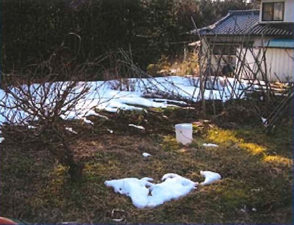 下伊那郡松川町元大島土地 現地写真