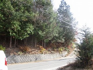 飯田市伊豆木山林 現地写真