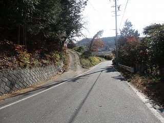 飯田市伊豆木山林 その他