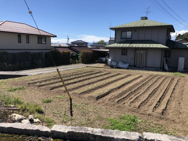 飯田市座光寺土地 現地写真